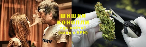 индика Братск