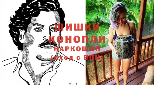 дурь Лагань