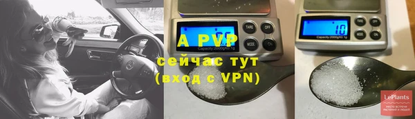 ECSTASY Кукмор