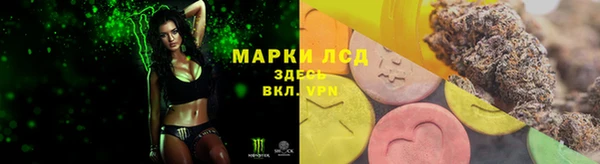 ECSTASY Кукмор