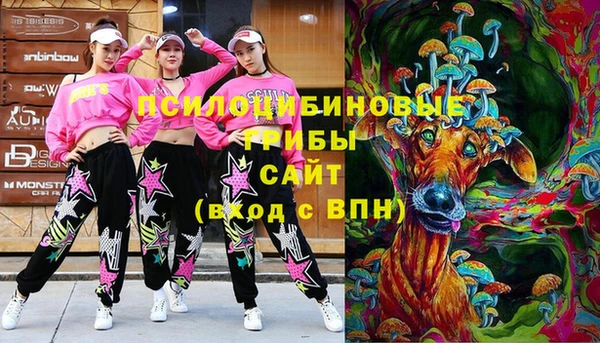 гидропоника Лабытнанги
