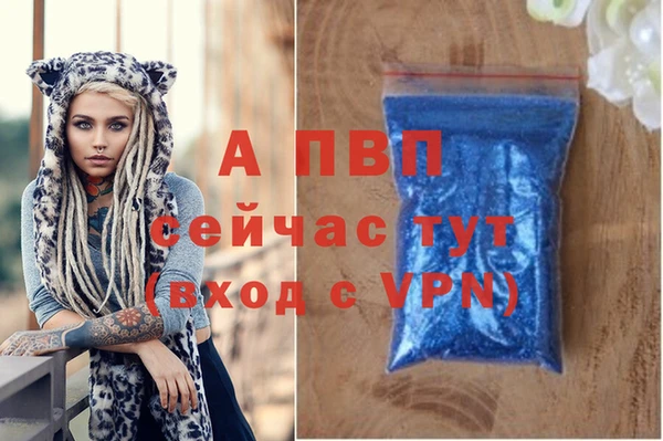 ECSTASY Кукмор