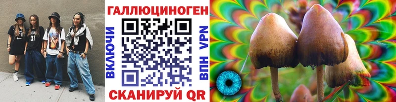 Галлюциногенные грибы MAGIC MUSHROOMS  ОМГ ОМГ сайт  Тара 
